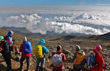 5 Days Marangu Route Kilimanjaro Climbing