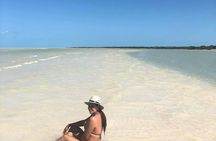  Holbox Punta Mosquito By Ferry from cancun