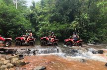  4-Hour ATV Waterfall & Delicious Rainforest Lunch 
