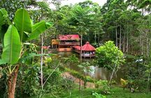 4x4 Happy Jungle Booze Cruise
