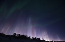 The Greatest Valuable Aurora Manor & Hunting Tour --Exclusive Tour Operator