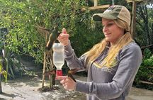 HUMMINGBIRD EXPEDITION - Searching for the cloud forest jewels.