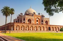 7 Days Private Tour of Taj Mahal, Tigers, Palace and Forts of India