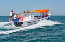 Abra Tours - Dubai Sightseeing Cruises