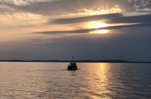 All-Inclusive Sunset Cruise & Dolphin Watching – Medulin