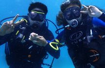 Discover Scuba Diving in Bali with photo and video