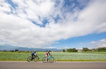 Akagi mountain E-Bike Hill Climbing Tour