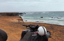 Full Day Sal Island Tour in Santa Maria