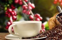Coffee tour & rum tasting