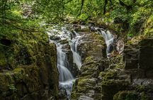 Loch Ness Cruise, Scenic Walk, Whisky & Glencoe Tour - Edinburgh