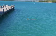 Full Day Tour to Isla Contoy and Isla Mujeres from Cancun