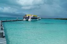 Full Day Tour to Isla Contoy and Isla Mujeres from Cancun