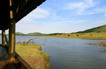 Full Day Pilanesberg Experience in Open Vehicle