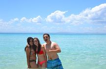 Adventure to Espiritu Santo Island: Snorkel with Sea Lions and Beach