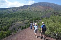 Etna Morning Tour, caves and craters