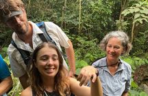 Brewers Bay Eco Hiking Tour