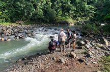 USDA El Yunque National Forest and Luquillo Beach Tour