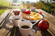 4 Hours Private Sunrise Breakfast Wildlife Safari