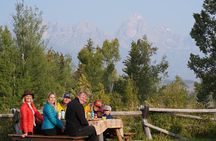 4 Hours Private Sunrise Breakfast Wildlife Safari