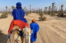 Camel ride in the palm grove of Marrakech