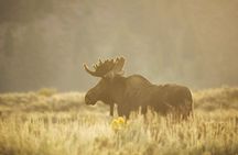 Private Sundowner Dinner Experience in Grand Teton National Park