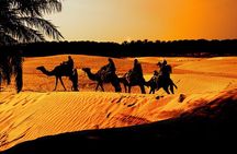 Bahariya Oasis Camp 2 Days 1 Night To From Cairo and Giza 4X4