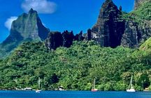 Half-Day Tour of Moorea Island in a Small Group