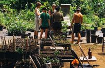 Big Island Farms Tour in Hawaii