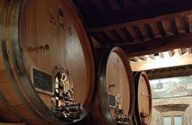 Montalcino, trekking in the vineyard, Enomusicale tasting and Cacio di Pienza!