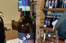 Montalcino, trekking in the vineyard, Enomusicale tasting and Cacio di Pienza!