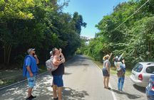 El Valle de Anton Origin & Exploration 