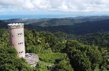 El Yunque Rainforest Hike with Transport from San Juan