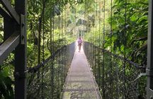 Full-Day Arenal Inspirations Combo: Waterfall, Bridges, Volcano