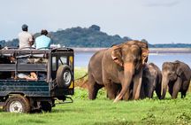 GO WILD! Double Safari Day Trip (Yala & Udawalawe) - Private & All Inclusive 