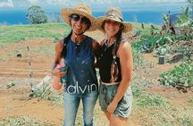 Big Island Farms Tour in Hawaii