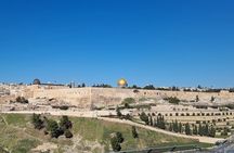 Private Tour from Tel Aviv to Jerusalem