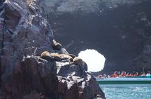 Nazca Lines and Paracas tour full day-organized from Lima