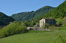 2-Hour Visit to the Slow Food Farmer's Market and Agri-Aperitif