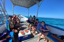 Roatan 3 Stop Snorkeling Adventure, Shipwreck, Starfish & Blue Channel