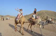 Desert Quad, Jeep, Camel and Buggy Safari with BBQ Dinner