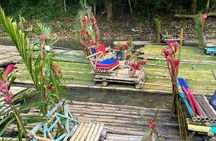 Great River Bamboo Rafting and Bird Sanctuary Combine Tour From Montego Bay