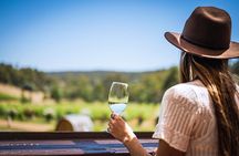 Cider, Wine & Whiskey Tour: Small Group Full-Day Tour from Perth
