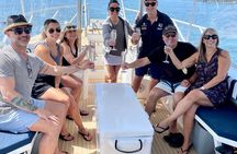 Gold Coast Island Private Cruise with Platter and Prosecco 