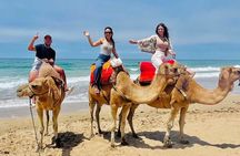 Tangier Private Day Tour including ride the camel