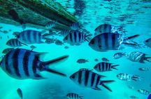 Eastern Treasures of Mauritius: incl Rhumerie St Aubin & Blue-Bay Marine Park