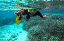 Exploring the Magnificent East of Mauritius: Full-day incl Blue Bay Marine Park