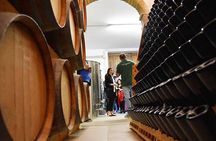 Wine Tasting and Guided Visit to the Vineyard and Cellar in S. Maria Imbaro