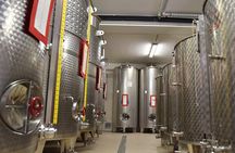 Wine Tasting and Guided Visit to the Vineyard and Cellar in S. Maria Imbaro