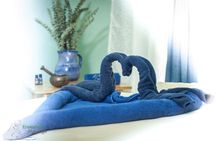 Best Massage in Ensenada & Mobile to Valle de Guadalupe