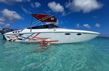 Saona island - Private tour with a luxury speed boat